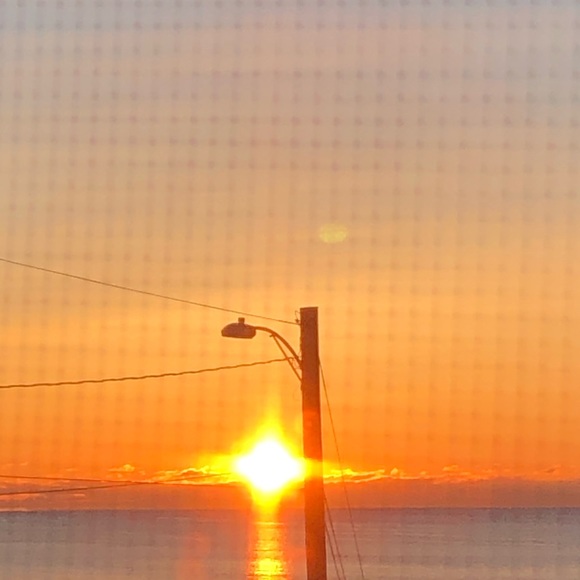 Meet your Posher, Lisa - Picture 1 of 1